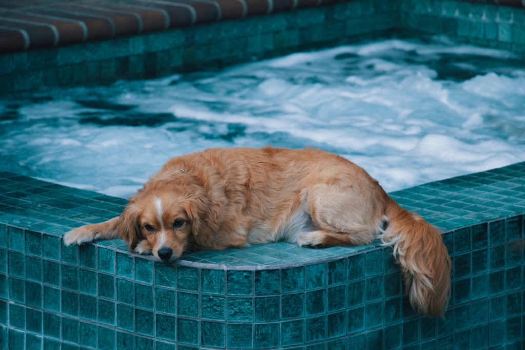 construire une piscine semi-interrée