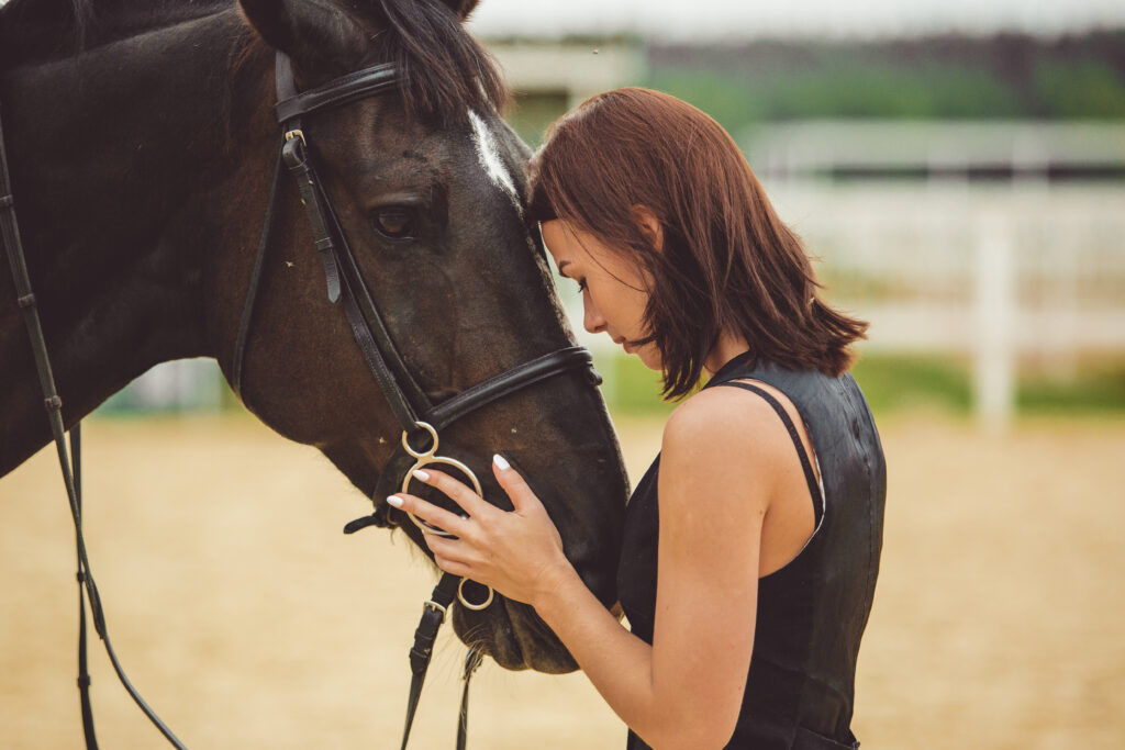 panneaux solaires centre equestre
